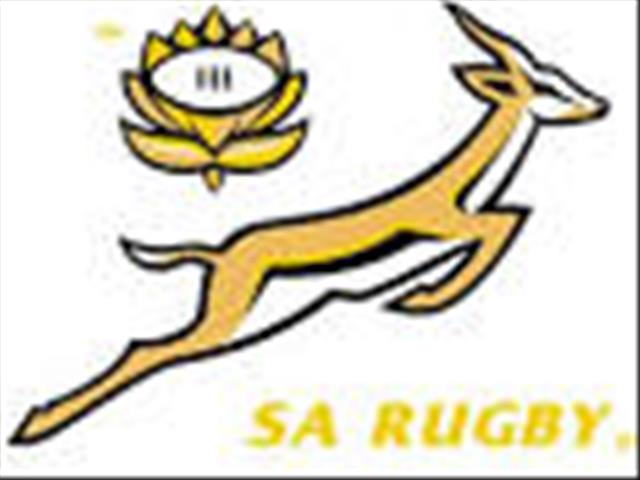 Social ills motivated Springboks | News Article