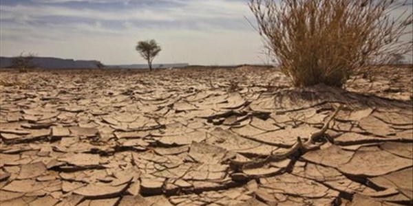 #NKdroogte: Water aangery vir diere, bronne droog egter op #NKdroogte: Water aangery vir diere, bronne droog egter op | News Article