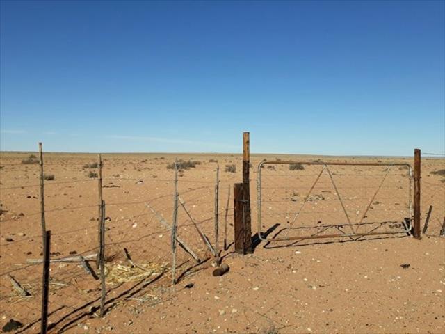 Vleiskenner: Wat is die invloed van die droogte op die bedryf? | News Article
