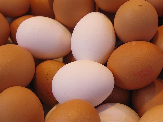 Man in India dies during challenge to eat 50 eggs | News Article