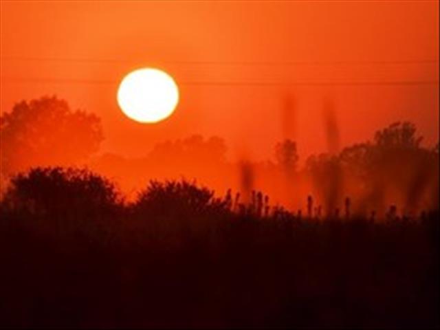 Brandgevaar in Noord-Kaap groot weens hittegolftoestande, wind en min reën | News Article