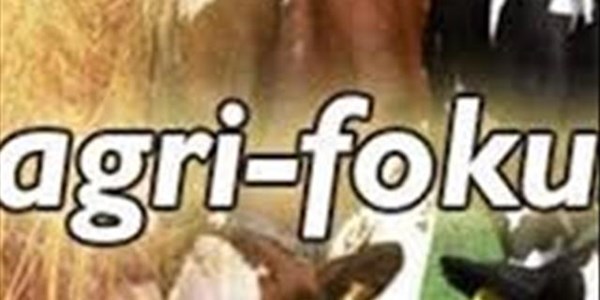 OFM-agrifokus: Bek-en-klouseer uitbraak in Limpopo, GOTG gee voerskenkings, Theo Bekker sterf OFM-agrifokus: Bek-en-klouseer uitbraak in Limpopo, GOTG gee voerskenkings, Theo Bekker sterf | News Article