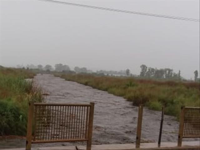 Saaiboere in Potch wil nou volstoom begin plant ná goeie reën | News Article