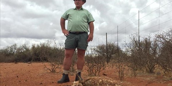 #Net'nDruppel: 'Dit gaan nie geld of veld reën nie', maar reën kan produksie verbeter, sê NK-boer #Net'nDruppel: 'Dit gaan nie geld of veld reën nie', maar reën kan produksie verbeter, sê NK-boer | News Article