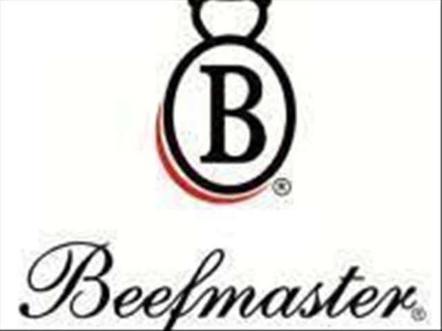 Beefmaster-groep: Handel met gesonde diere is reeds protokol in SA | News Article