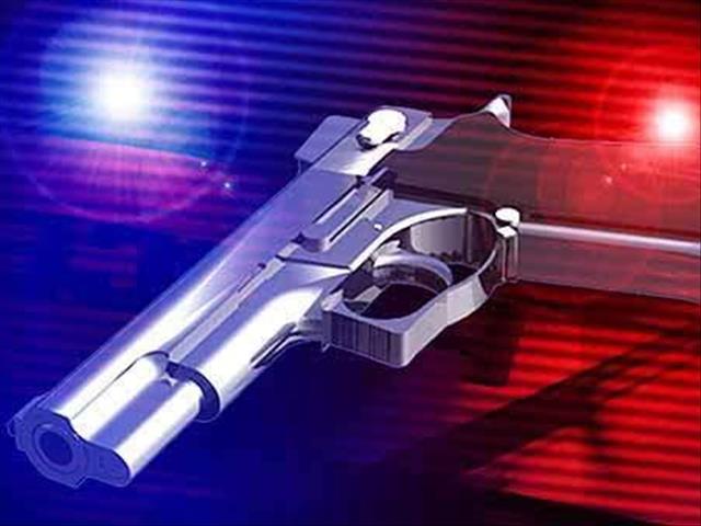 Over 200 firearms handed in since start of amnesty period | News Article