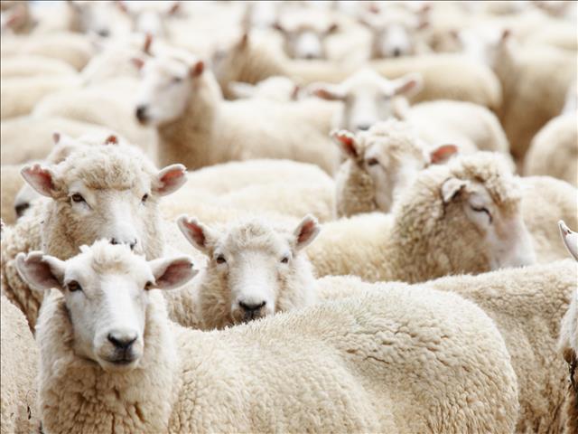 Landbounuus-podcast: Agri-fokus hoogtepunte van 2019 | News Article