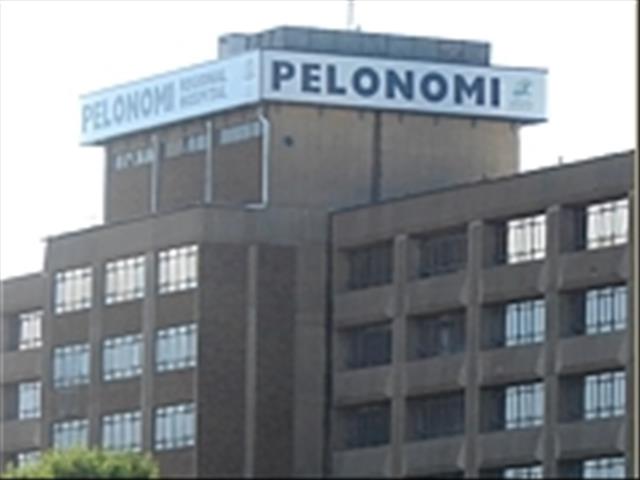 Pelonomi does away with private security company, hires staff | News Article