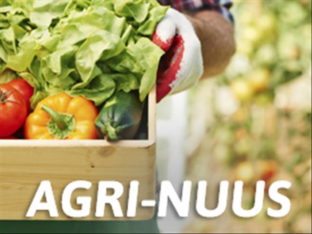 Landbounuus-podcast, 13:30: Eienaars van vermiste skape gesoek | News Article