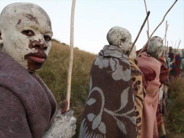 Committee calls for meeting with leaders to curb initiate deaths | News Article