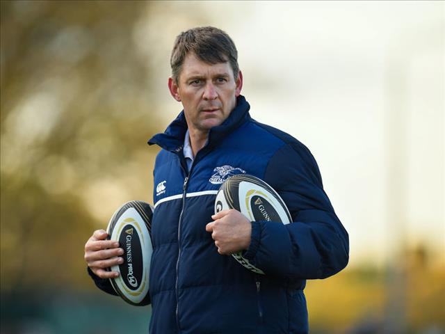 Cheetahs ready to enjoy a break | News Article
