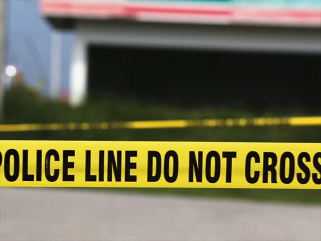 Festive season road fatalities rise | News Article