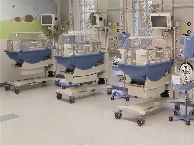 FS welcome babies born on Christmas | News Article