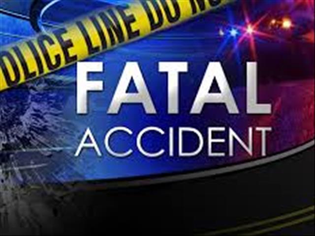 Two babies die in Limpopo motor vehicle accident | News Article