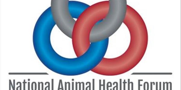 Auctions and feedlots pose high risk for spreading foot-and-mouth disease Auctions and feedlots pose high risk for spreading foot-and-mouth disease | News Article