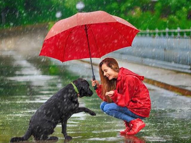 The Joyride loving this rain! | News Article
