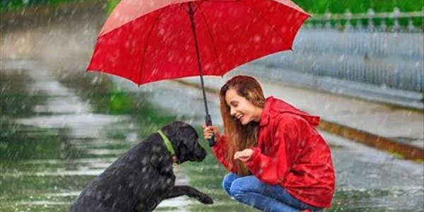 The Joyride loving this rain! | News Article