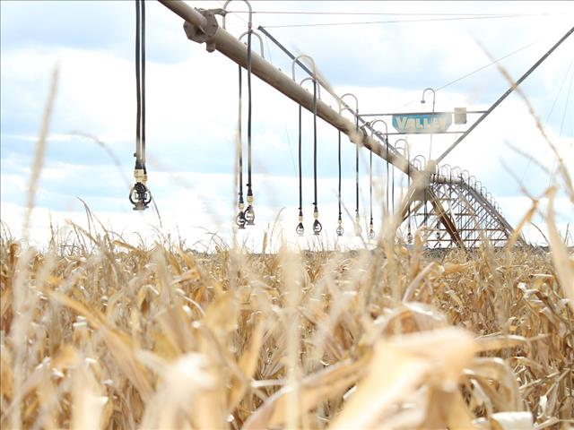 Landbounuus-podcast: Departement se meesterplan goed geformuleer rondom water-uitdagings | News Article