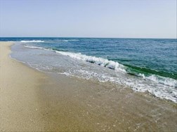 Bodies of Mozambique drowning victims back in SA | News Article