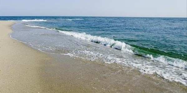 Bodies of Mozambique drowning victims back in SA Bodies of Mozambique drowning victims back in SA | News Article
