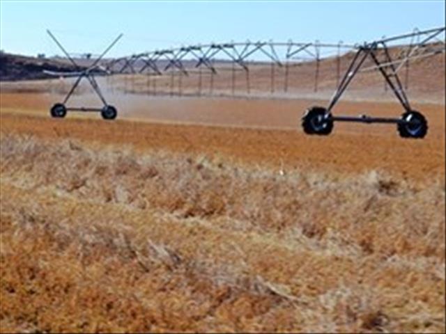 OFM-agrinuus deur Pieter Möller: Waterbestuur is noodsaaklik | News Article