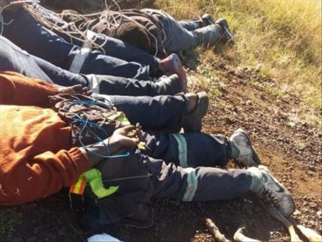 Mozambican court sentences poachers to 16-years imprisonment | News Article