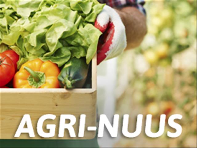 Landbounuus-podcast: 'n Rowwe tyd lê vir die rooivleisbedryf voor  | News Article