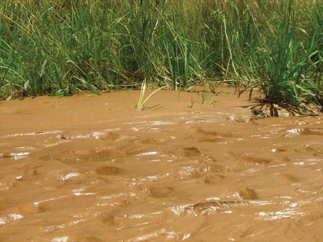 Regering het onfeilbare plan om watergehalte te bevorder | News Article
