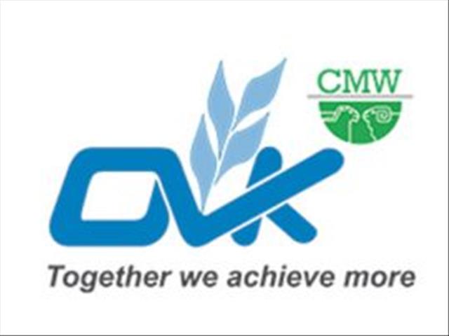 OVK-wolmarkverslag:  Cape Wools Merino-aanwyser styg  | News Article