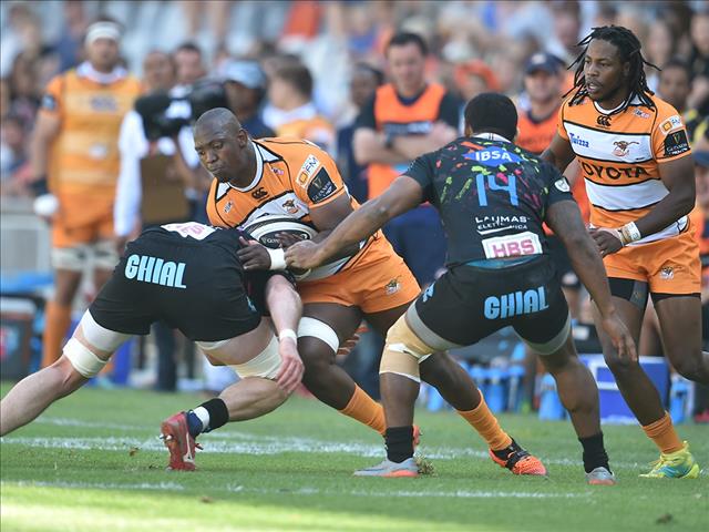 Cheetahs thrash Zebre in Bloemfontein | News Article