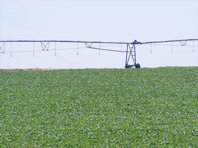 Agri SA hou regering se strategie vir watersekerheid fyn dop | News Article