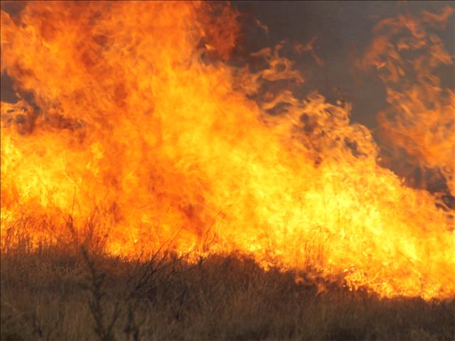 Clarens veld fires contained | News Article