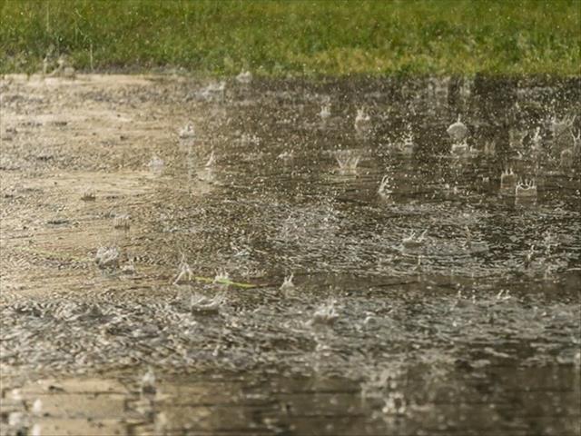 Boere in suidwestelike deel van Noord-Kaap juig oor reën | News Article
