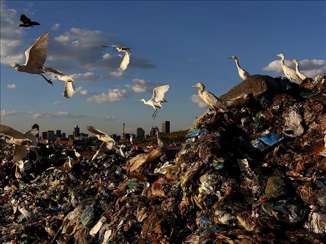NW Health MEC calls for relocation of dumping site near Mahikeng Hospital  | News Article