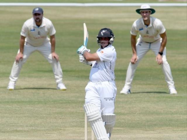 Van Jaarsveld lays solid Dolphins platform | News Article