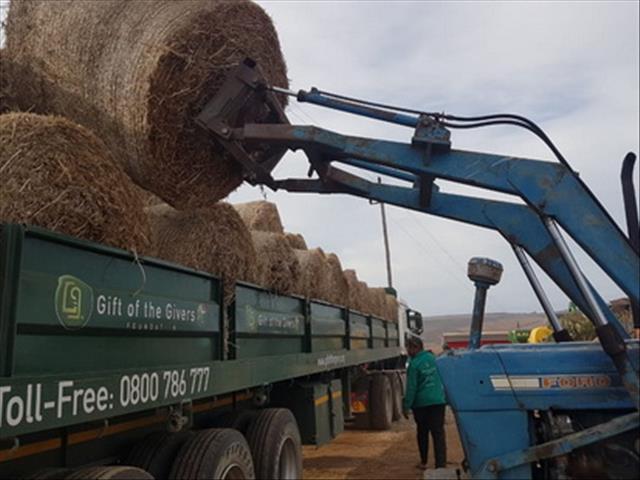 Die omvang van die droogte in die Noord-Kaap té groot, regeringshulp is nodig | News Article