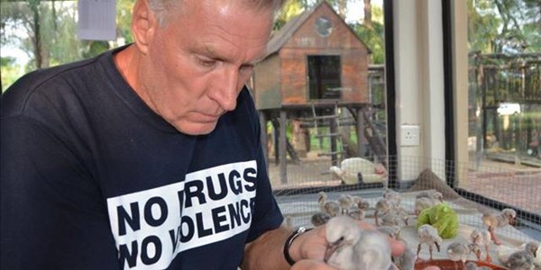 #FlamingoRescue: Flamingo Saga to be treated as criminal case #FlamingoRescue: Flamingo Saga to be treated as criminal case | News Article