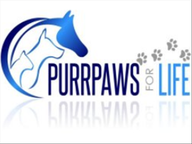 Just Plain Drive provide some much needed relief for PurrPaws for Life who lost their shelter in a terrible fire.  | News Article