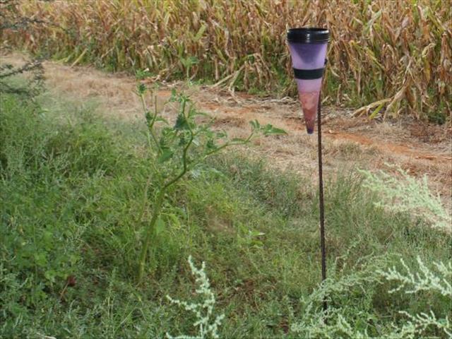 Opvolgreën kom net betyds vir boere in sekere Vrystaat-gebiede  | News Article