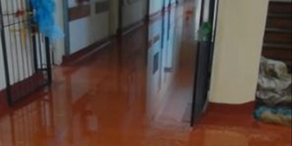 Floors at National hospital dry up after partial flooding is contained  | News Article