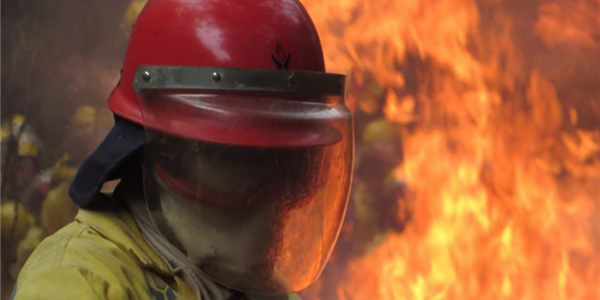 Firefighters still battling flare-ups in Overstrand region | News Article