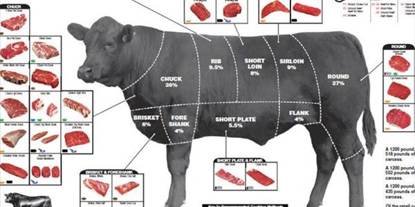 Angus-beesras het die lekkerste vleissnitte Angus-beesras het die lekkerste vleissnitte | News Article