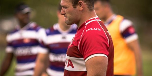 Hond has the right pedigree Hond has the right pedigree | News Article