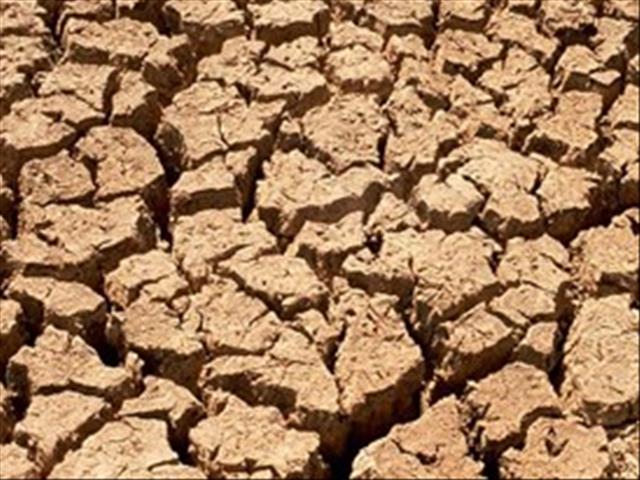 Wanhoop heers in die Noord-Kaapse Williston-distrik weens droogtetoestande | News Article