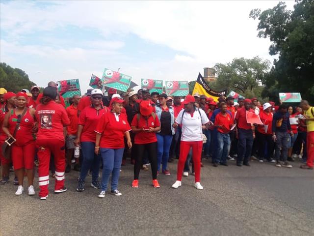 WATCH: #COSATUNationalStrike to march against unemployment in Welkom | News Article