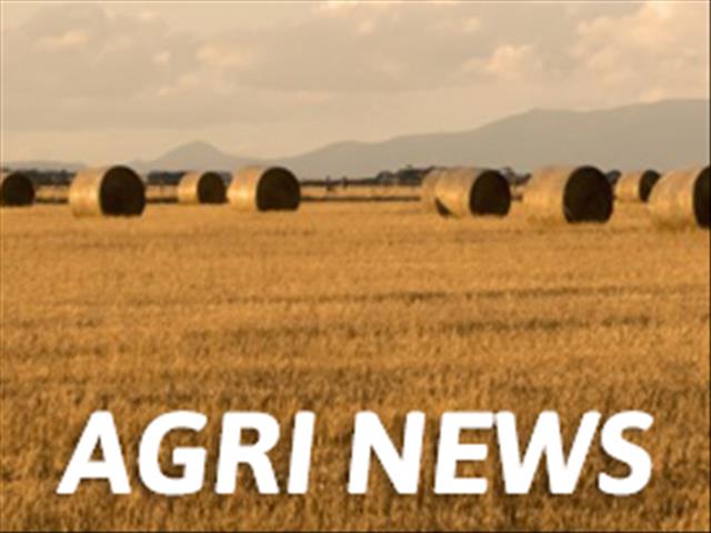 Agri News Podcast: Job gains reported in formal sector | News Article