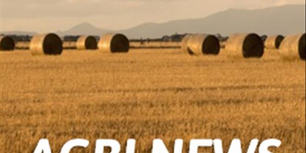 Agri News Podcast: Job gains reported in formal sector | News Article