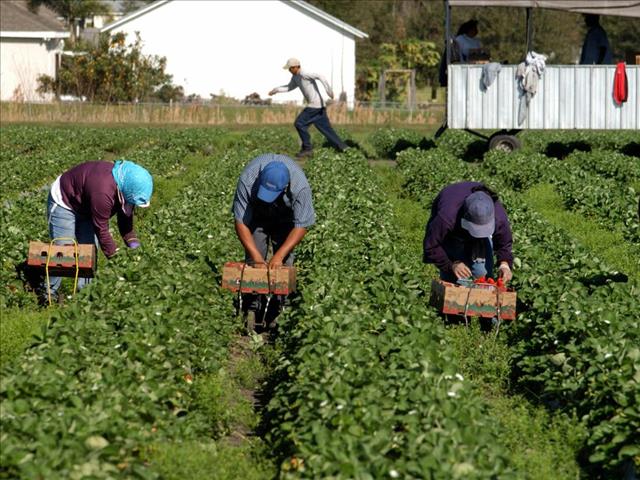 Meer werksgeleenthede deur landboubedryf geskep | News Article