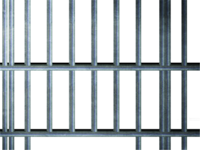  Sol Plaatje ANC ward councillor released from custody | News Article