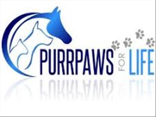 OFM rallies support for PurrPaws following devastating fire | News Article